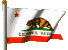 Calif Flag - Waving